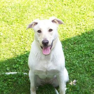 Meet your Posher, Lori